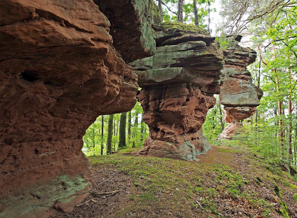 Rumbergtürme am Premium Wanderweg "Rumberg-Steig"_Foto Jacques Noll