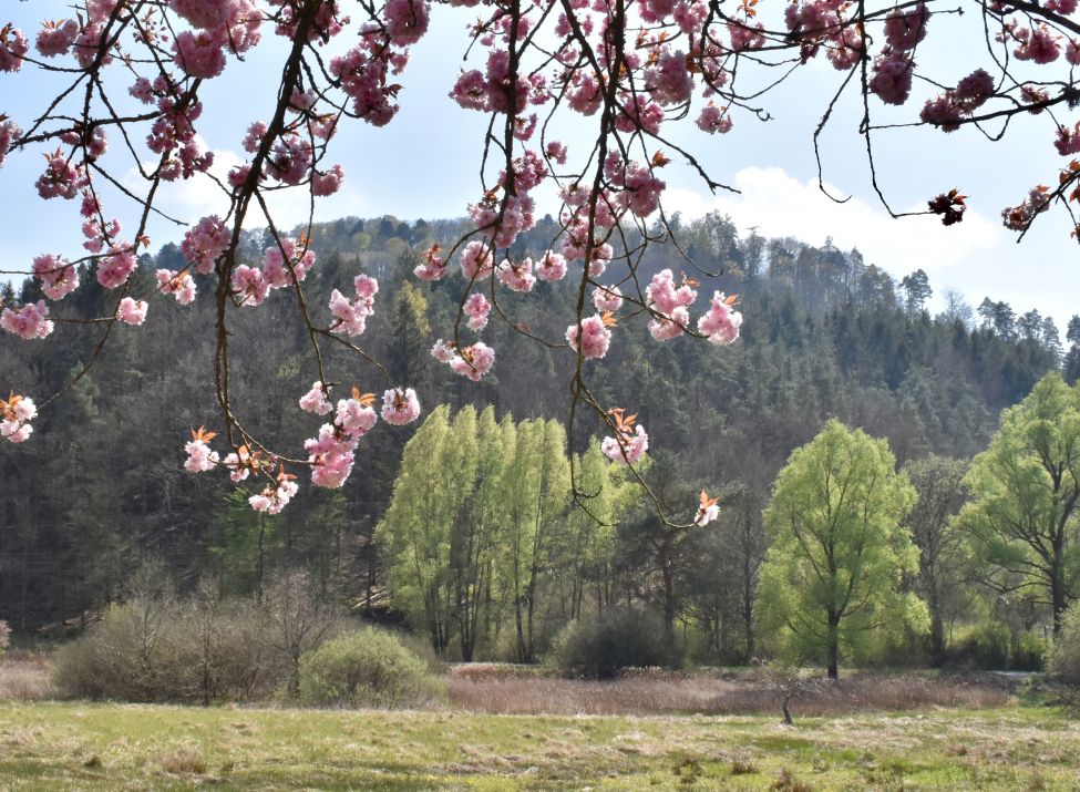 Landschaft bei Fischbach im Sauertal_Foto: Sebald Liesenfeld